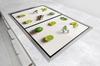 Glass protective plate for the stove 2x45x52 Fruit