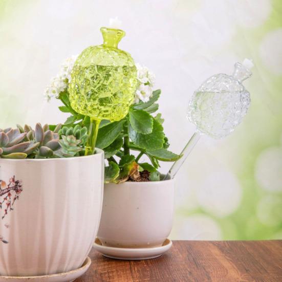 Ananas Vanningskuler Toppfylling Plante Selvvanningskuler Planteinnsats Automatisk