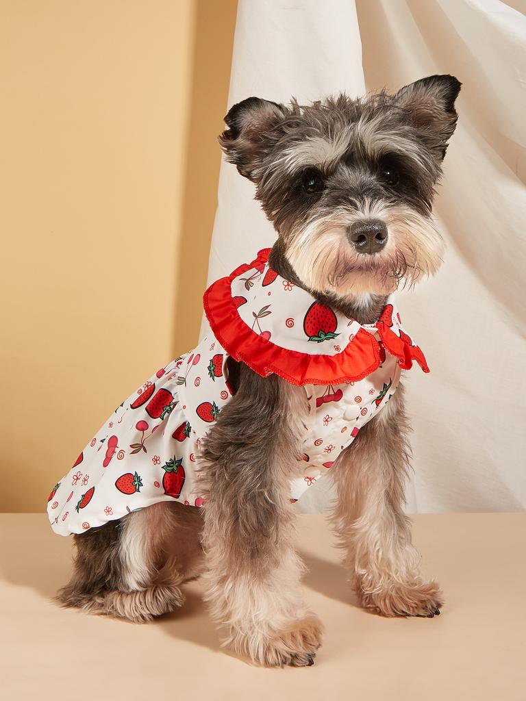 Strawberry - Printed Dog Dress with Red Ruffled Collar, Cute Fruit Pattern Pet Clothes, Sweet Princess Dress for Small Dogs