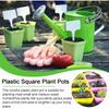 Plastic Plants Flower Pots Horticultural Mini Seedling Pots Succulent Square Nursery Pots Garden Accessoires with Drain Trays