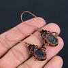 Abalone Shell Copper Electroformed Earrings, Handmade Gemstone Earrings Jewelry, Gifts For Wife Brand New Earrings