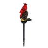 Cute Landscape Light Unique Pinecone/Nut Red Bird Solar Garden Light Outdoor Lighting Waterproof IP55 for Garden Yards