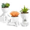 [3-Pack] Artificial Plant Decoration, Artificial Flowers, Potted Plants, Simulated Succulents, Table Decoration (White)