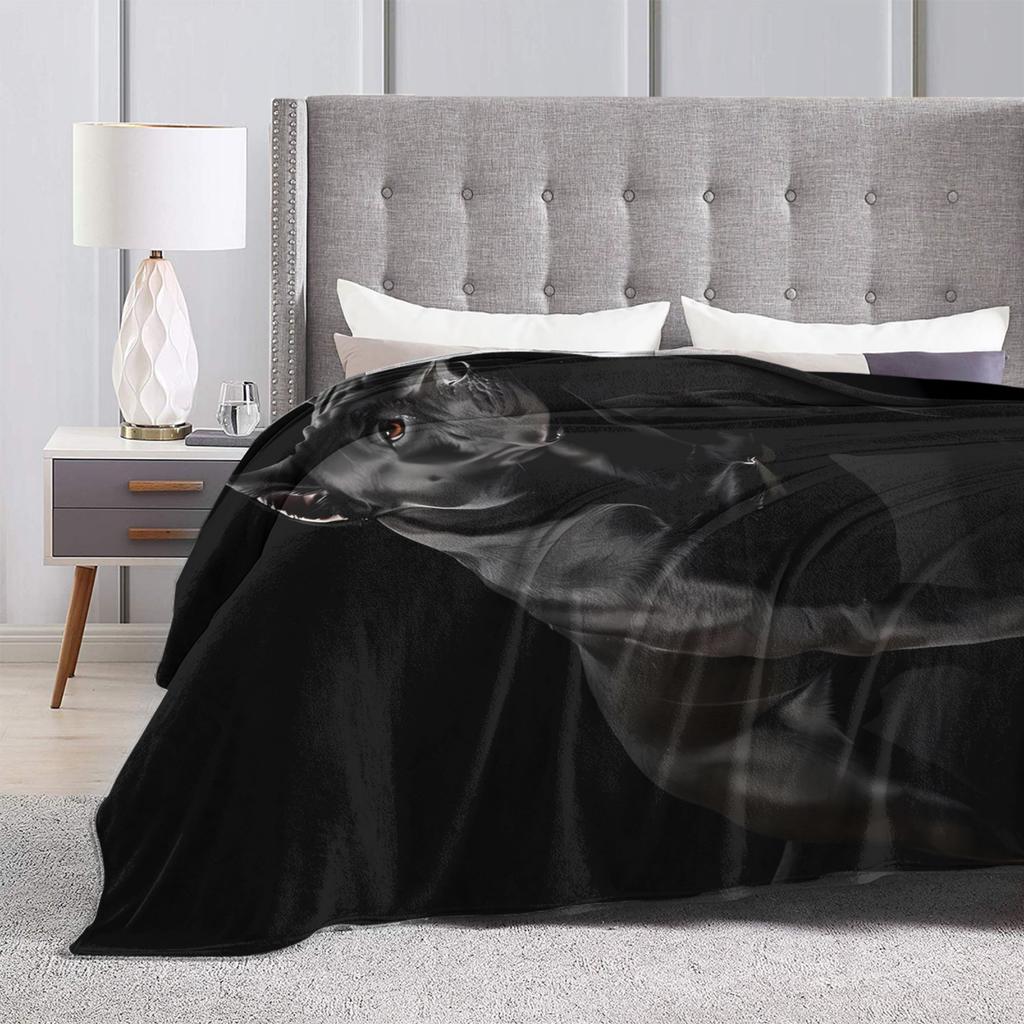 Cane Corso  Super Soft Blanket  Picnic Plush Throw Blanket Aesthetic Living Room Flannel Bedspread Sofa Bed Cover