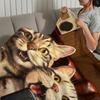Kawaii Kitten Vintage Cute Funny Cat Soft Warm Plush Blanket Dormitory Sofa Living Room Pet Hogar Bedroom Gift Nap Home Flannel