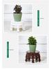 Chinese Style Multi-Layer Flower Stand for Living Room or Balcony, Plastic Pothos Rack