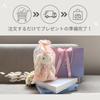 Rabbit Plush Toy for Girls Ages Elementary School Birthday Cute Keychain with Handle [HAYAOKIYASAN] Recitals, Ballet, Piano, 6, 7, 8, 9, 10, Students,