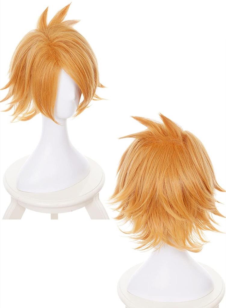 Eileen My Hero Academia Kaminari Denki Wig, Heat-Resistant, Disguise Wig, Anime Wig, School Festival Wig, Includes Net