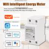 Single-Phase Din Rail Wifi Intelligent Energy Meter Power Consumption Kwh Meter Wattmeter Support SmartlifeCelsius  App Control Compatible with  