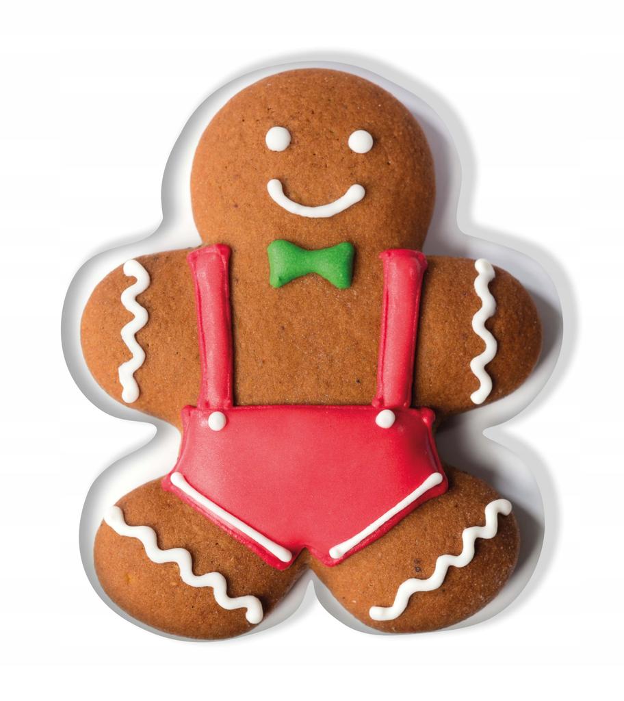GINGERBREAD MR. pillow CHRISTMAS COOKIE gingerbread pillow