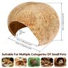 Natural Coconut Shell Hamster Nest Sturdy Coconut Leopard Habitat Bite-resistant Small Pet Toy Crawling Perching Tank Decoration
