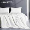 Mercury Home Textiles Wild Tussah Silk Antibacterial Quilt