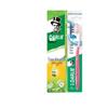 Tea Scented Chrysanthemum Longjing Toothpaste 140g with BC11 Toothbrush