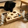 Kedi – Kedi Oyuncakları