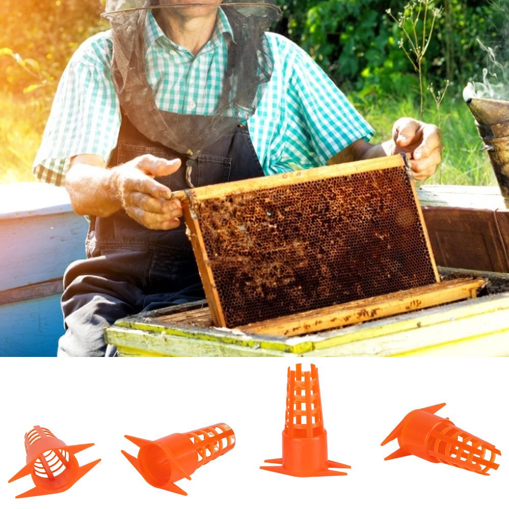 30pcs Plastic Bee Queen Cage Protective Cover Queen Rearing Cup Beekeeping Equipments Tools