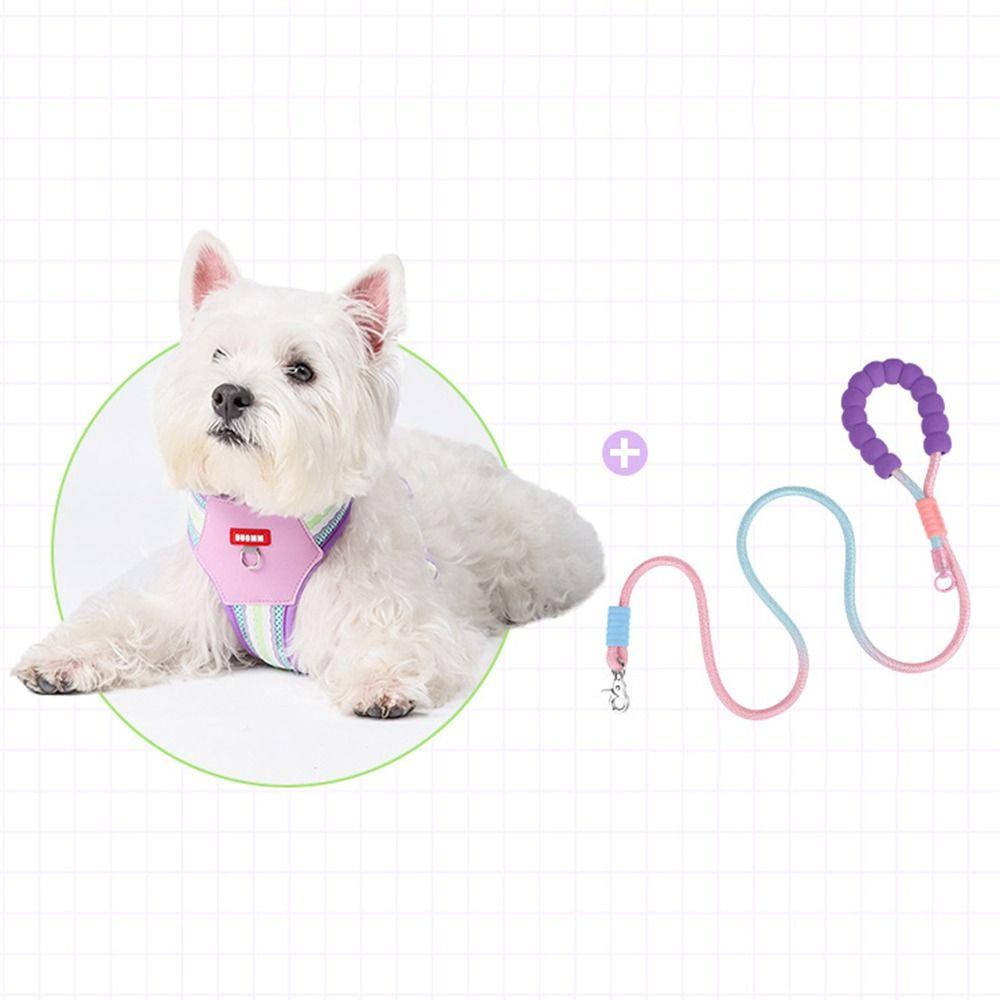 with Traction Rope Pet Walking Vest Padded Cat Jacket Harness Cat Walking