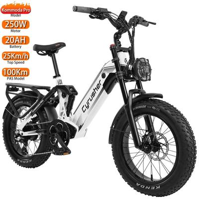 Cyrusher Kommoda Pro Electric Bicycle 20" 250W Motor Dual Hydraulic Brake 8 Speed All Terrain Adult Electric Bike Max Load 150kg