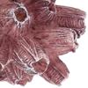 Aquarium Coral Ornament Soft and   Fish   Artificial Coral Landscaping Decoration