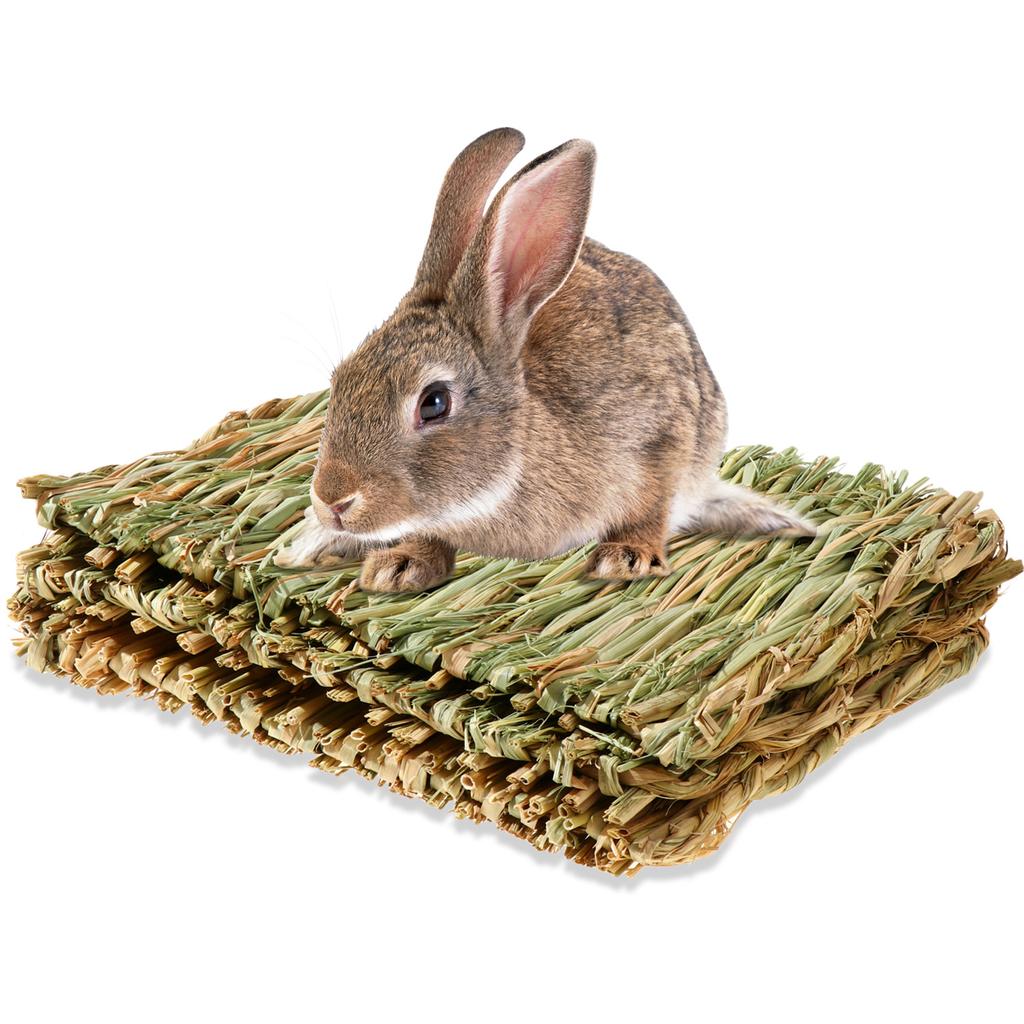 natural hamster bedding