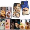Funda Coque Cover for Apple iPhone 15 14 16 Plus XS 13 11 12 Pro Max XR X 16E ProMax Phone Case Pomeranian Dog