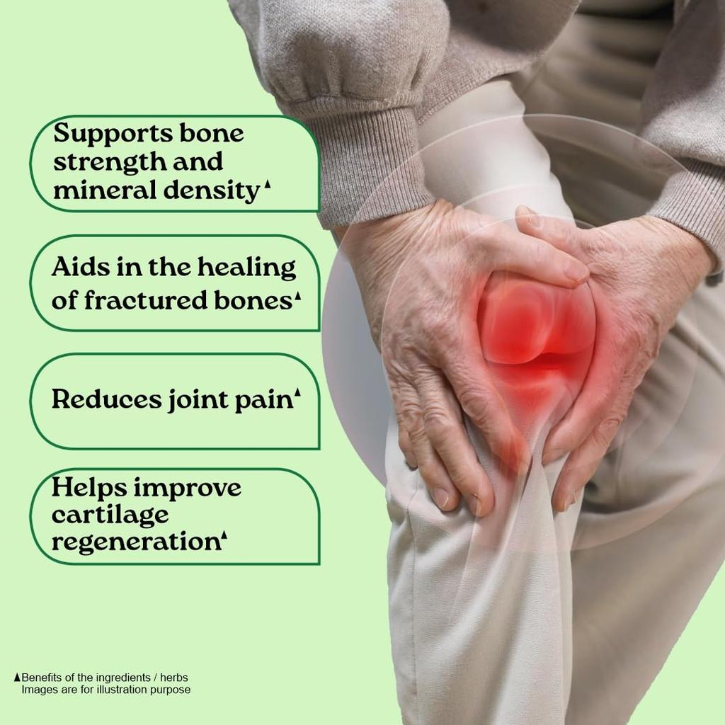 Organic India Osteoseal 60 Capsule Herbal Bone Support Supplement for Strong Bones & Healthy Teeth