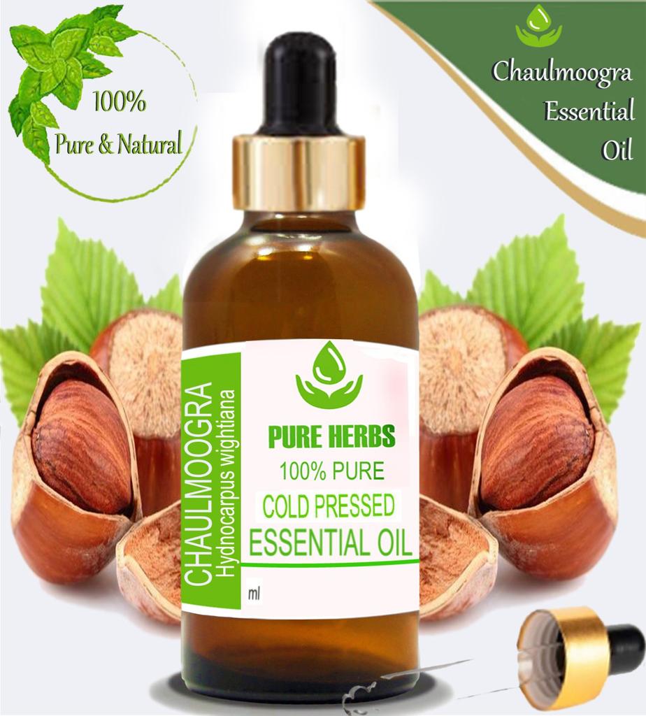 Pure Herbs Chaulmoogra 100% Pure Natural Hydnocarpus Wightiana Essential Oil ZA 288