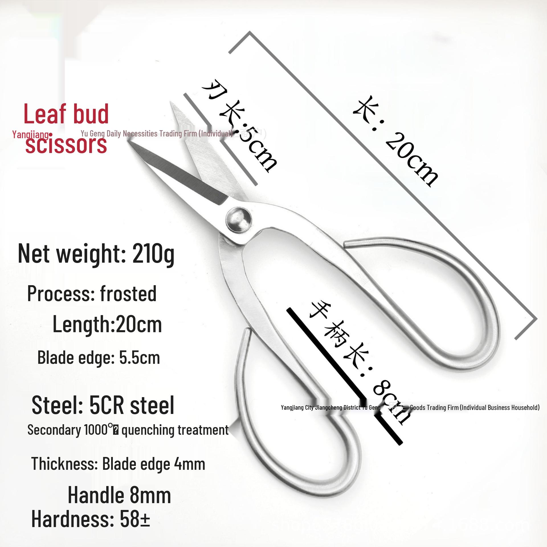 

Stainless Steel Bonsai Pruning & Shaping Scissors for Strong and Thin Branches