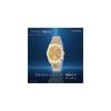 Crepha Analog Men's Waterproof Watch Metal Band Gold SV-AM269-CHT
