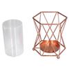 Plant Vase with Wrought Iron Flower Stand Transparent Glass Flower Pot Hydroponic Vase for Living