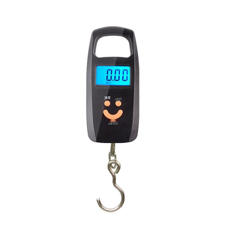 Portable Digital Hanging Scale