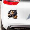 Fierce Tiger Car Sticker Vinyl Decal Waterproof Rear Window Motorcycle Camper Bumper Truck Laptop Decoration X15