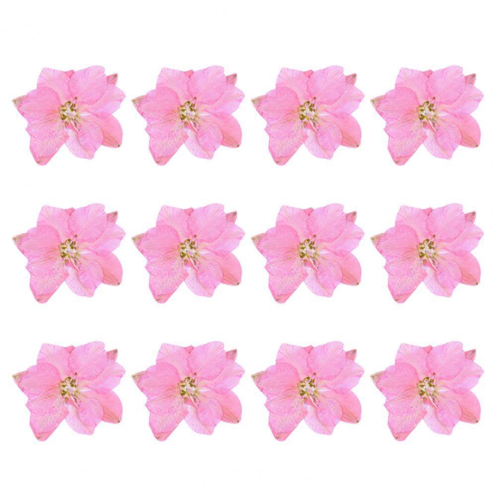 12Pcs Flowers Decoration High Imitation Bright Color Dried Flowers Dried Pressed Flowers for Nail Sticker Floral Decors
