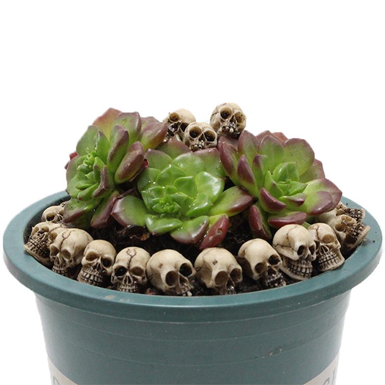 Couvre-chef Squelette et Tête de Fantôme pour Halloween: 20pcs Pierre de Pavage Décoration pour Micro Paysage et Pots de Fleurs