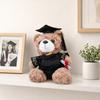 Personalized Graduation Bear Doll 2026 for Her, Soft Plush Teddy with Embroidered Gown, Class of 2026 Graduation Gifts for College High School