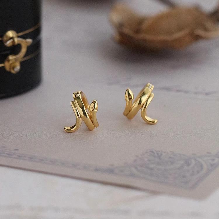 

ANENJERY Серьги-кольца в форме геометрической змеи, нейтральные, нишевые, легкие, роскошные, модные, хип-хоп, темпераментные, универсальные, модные аксессуары, ювелирные изделия, подарки золотой