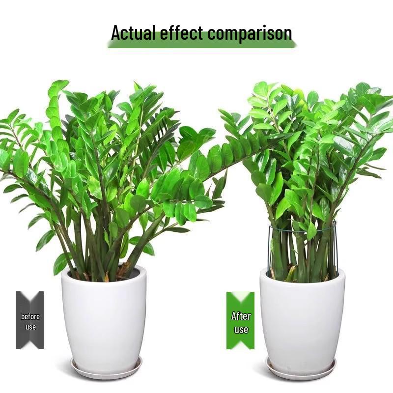 Newcomer Exclusive Flower Stand: Support Rod & Protection Frame for Money Tree