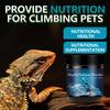 Reptile Calcium Powder with D3: Nutritional Supplement for Strong Bones In Geckos and Lizards