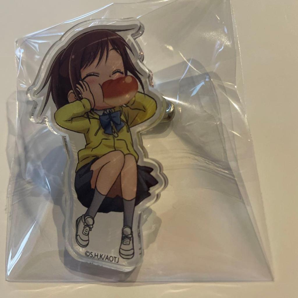 Used [Titan Junior High School] Sasha Acrylic Badge Attack on Titan