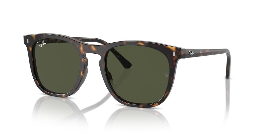 Sunglasses RB2210F HAVANA 53 [Ray-Ban]