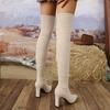Fashion Sexy Pointed Toe Slim Over The Knee Boots Women Autumn Winter Super High Heels Long Boots Woman Fashion Thigh High Botas Mujer