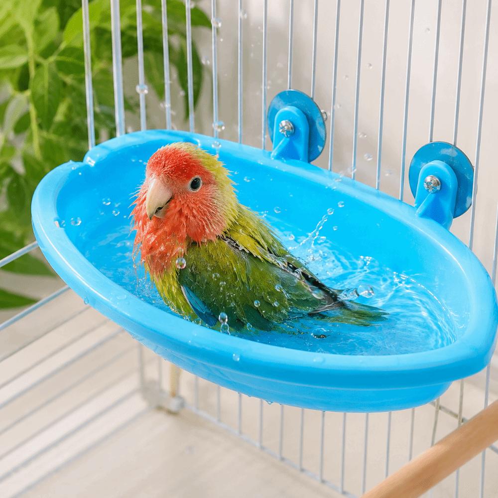 Swimming Pool Bird Bath Shower Durable Bird Drinking Bowl Parrot Shower Bird Feeding Bool  Pet Toys