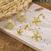 For jewelry summer geometric starfish shell shape women's stud earrings set versatile earrings foreign trade
