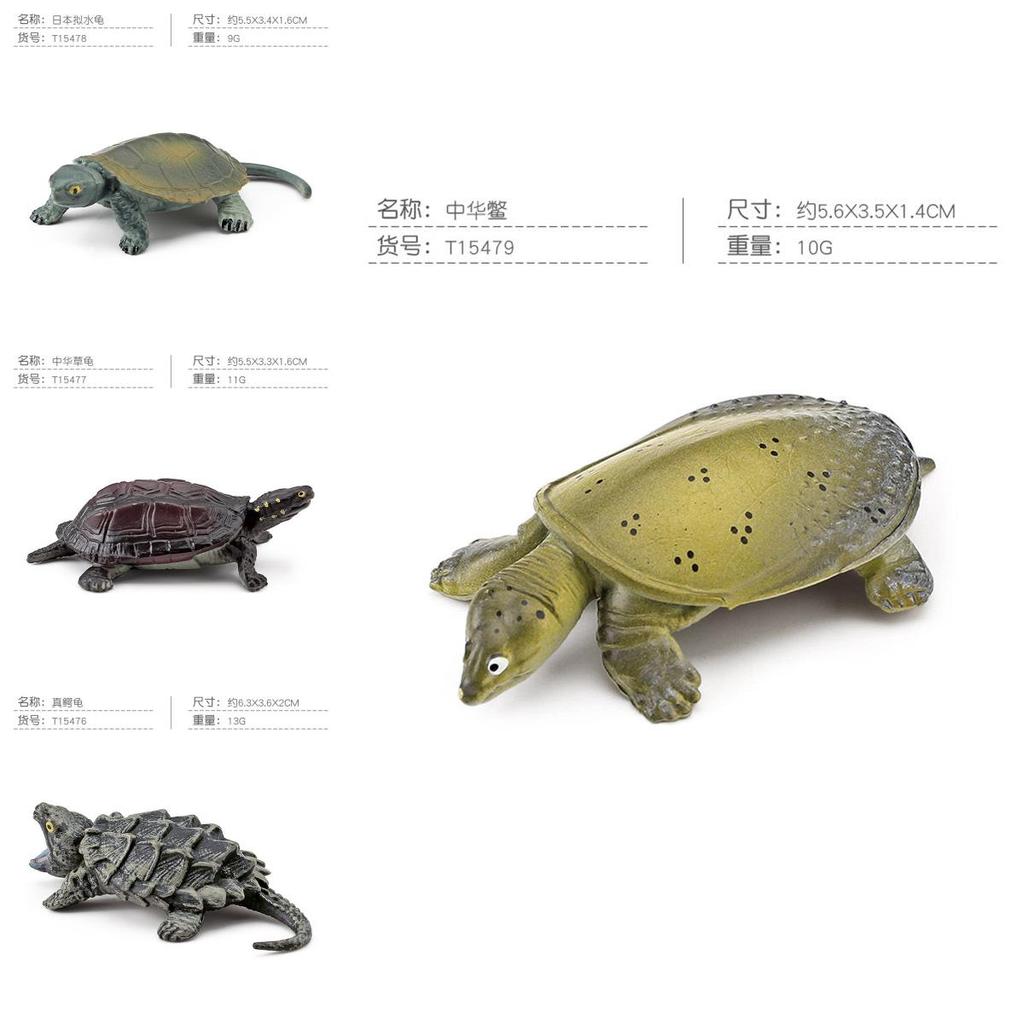Aquatic Reptile Tortoise Pvc Model Set With Realistic Detailing For Educational Collection