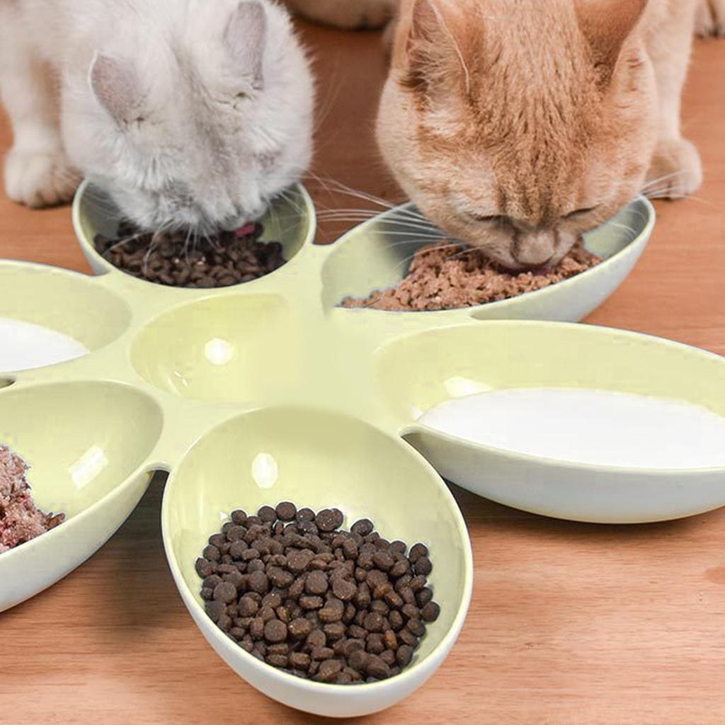 Flower Petals Shaped Pet Feeding Bowl 6 Grids Cat Food Bowl Multifunction Food and Water Cat Dishes for Small Cats and