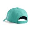 Puma Kids Paw Patrol Bb Cap Jr Sand Vbrt Grn 026869