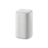 Xiaomi Super AI Smart Speaker (CN Version)