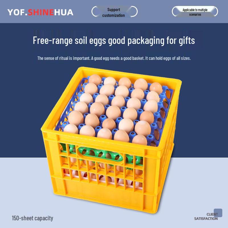 Shockproof Plastic Egg Transport Tray for Duck Eggs and Soy Milk
