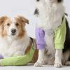 Mode Varme Hundekæledyr Knæstøtte Blød Justerbar Kæledyr Forben Støtte Anti-bid Åndbar Hundeknæbeskyttere Ledbeskyttelse