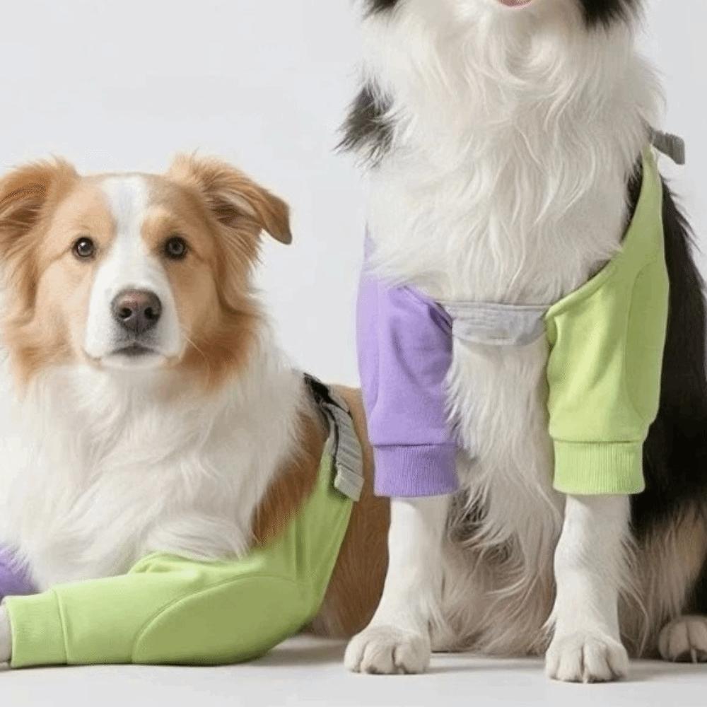Mode Varme Hundekæledyr Knæstøtte Blød Justerbar Kæledyr Forben Støtte Anti-bid Åndbar Hundeknæbeskyttere Ledbeskyttelse