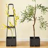 Tomato Tower Planting Box and Trellis - for Climbing Plants, Indoor and Outdoor Garden Support -1 Set